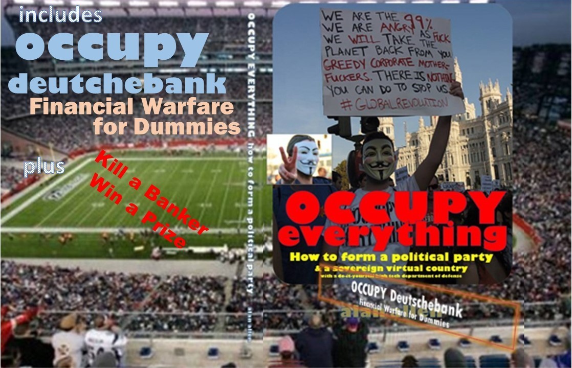 Occupy Book Cover