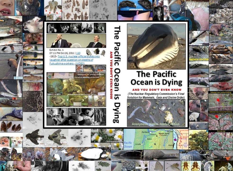 The Pacific Ocean is Dying and You Don't Even Know ...we are in the Sixth Great Extinction of Life on Planet Earth -- courtesy of Fed interest rate banking families valuing money over people, animals, all living things, and the Life Force. They value profits over people and it's time to stop the Fed interest rate banking families (and their apologists) who own and enslave us and murder us and all living things.