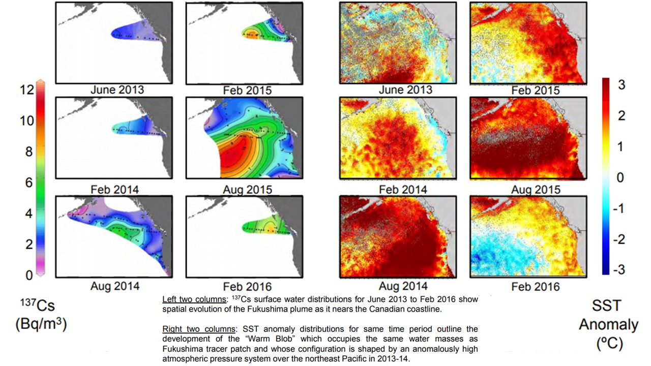 The Red Blob is nuclear fallout not simply warm water creating mysterious diseases destroying millions & trillions of sea life as the mainstream, fake news (owned by the nuclear industry), says