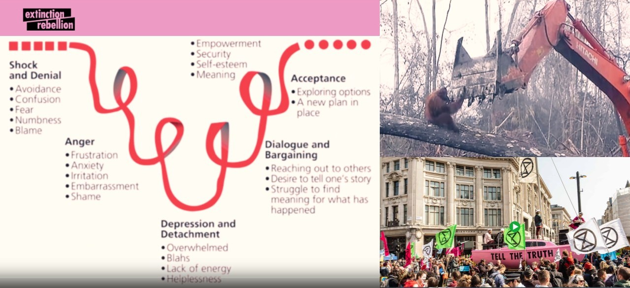 Extinction Rebellion welcomes & positions your grief ...because embracing the truth is emotionally devastating, but it's a first step