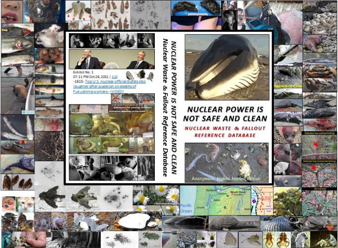 Self-preservation & Pacific Ocean Conservation is half the battle. The only companion e-books (& website) to document that prior & ongoing radioactive nuclear industry waste & fallout …& prior atmospheric testing & waste & fallout are killing the Pacific Ocean ...& is a feminist issue because women & girls who live within 25 miles of a nuclear reactor get more cancer than men or boys or those living farther away ...& 41,000 men, women & children a day get fatal & non-fatal cancer from accumulated & new nuclear industry radioactive waste & fallout