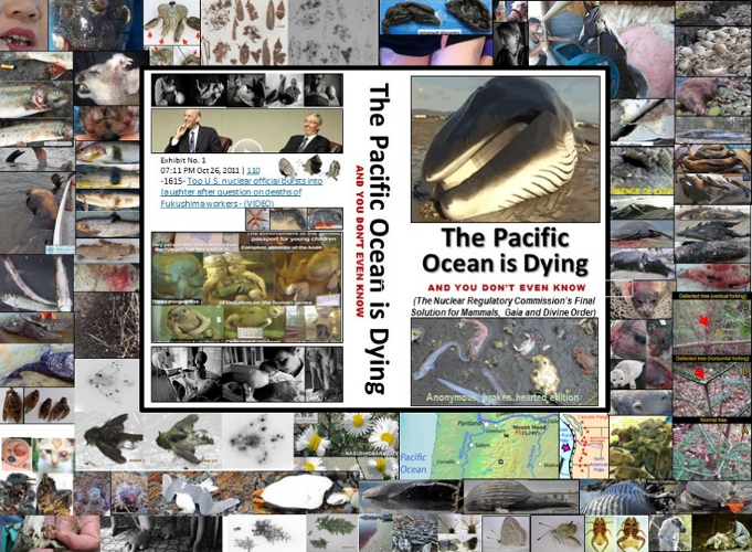 Self-preservation & Pacific Ocean Conservation is half the battle. The only companion e-books (& website) to document that prior & ongoing radioactive nuclear industry waste & fallout …& prior atmospheric testing & waste & fallout are killing the Pacific Ocean ...& is a feminist issue because women & girls who live within 25 miles of a nuclear reactor get more cancer than men or boys or those living farther away