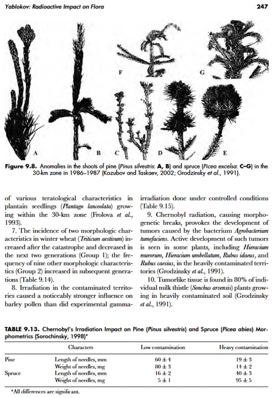 Chernobyl, Flora,