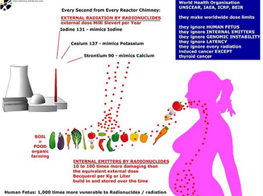 bioaccumulation