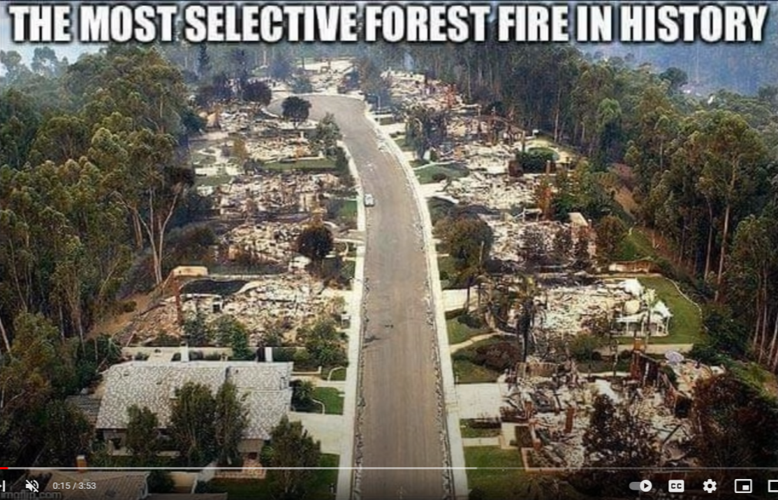 The most selective wildfire in history