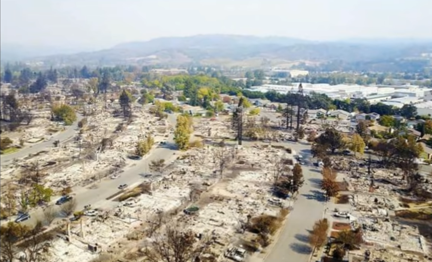 What kind of forest fire burns down the house & car but forgets the trees ...A.I. targeted houses and cars?