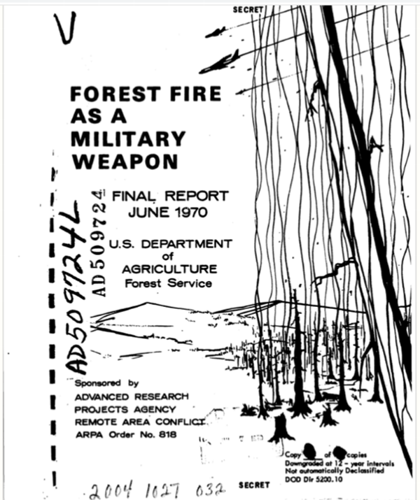 Forest fire as a military weapon