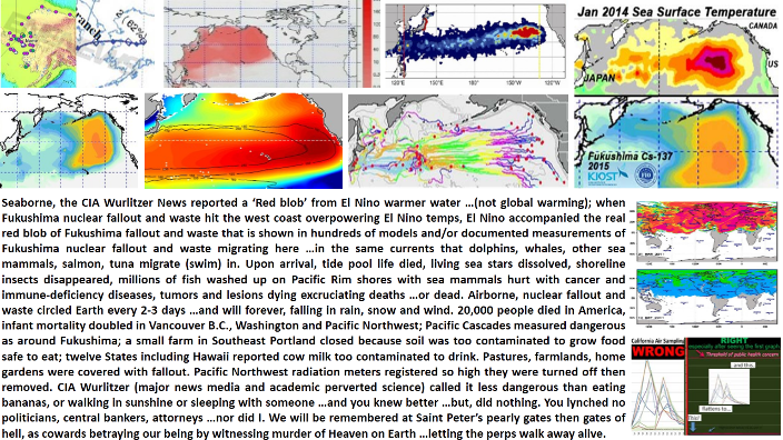 Seaborne and airborne Fukushima fallout and waste