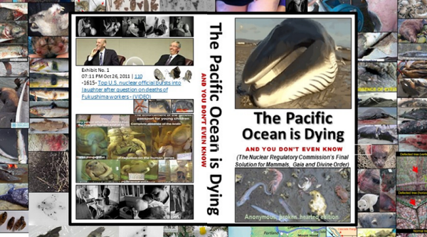 The Pacific Ocean Is dying and you don't even know.