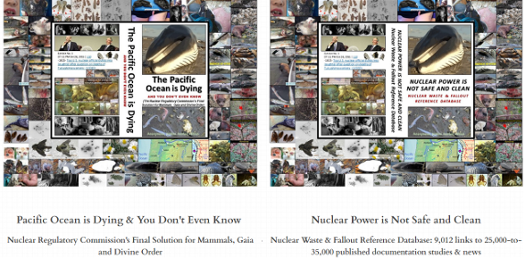 Two-volume companion e-book set proves nuclear energy is not safe and clean