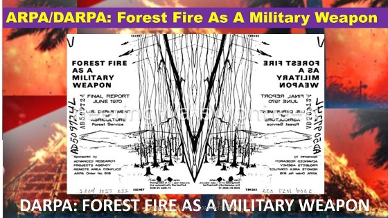 DARPA: Forest fire as a military weapons