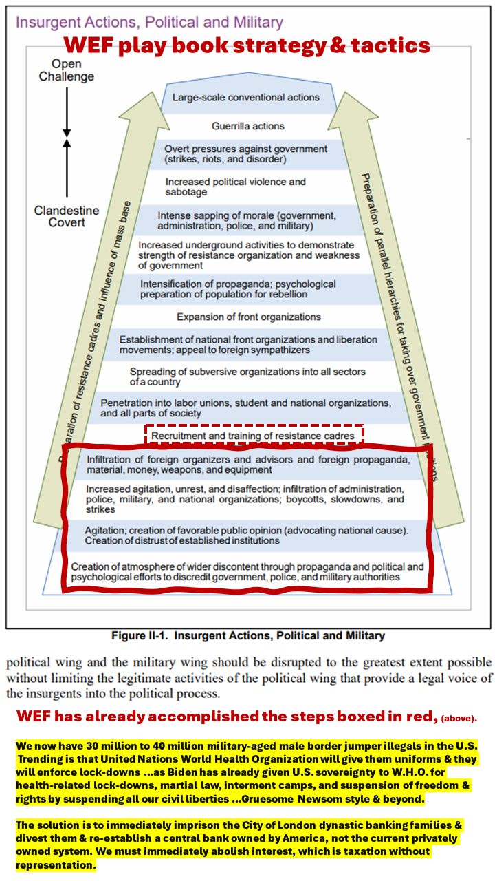 WEF milestone chart to destabilize & defeat the Corp. U.S. and the Republic of the united states of America