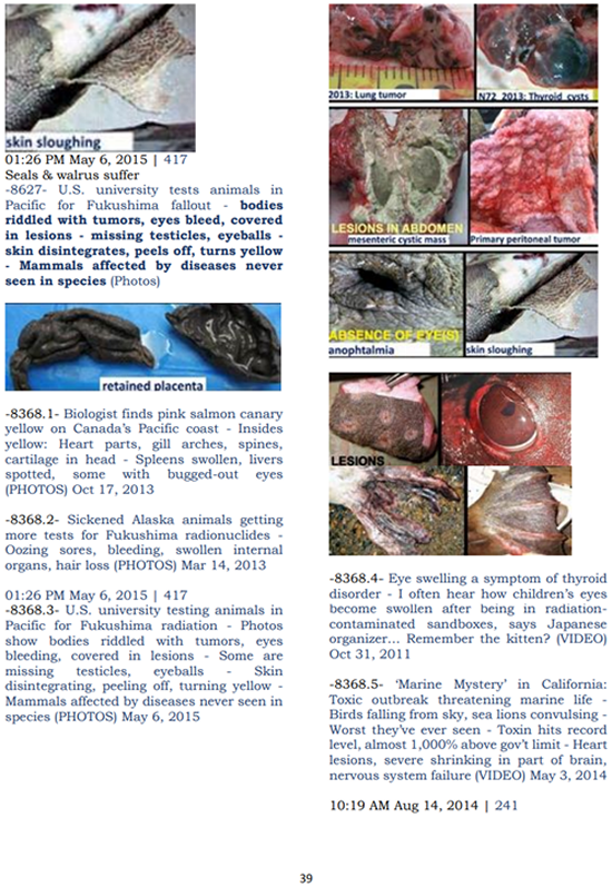When you read this page maybe you can feel the agony and excruciating suffering of these pet-like mammals ...people are mammals, too. NEVER FORGET THE CENTRAL BANKERS WHO FINANCE AND PIMP NUCLEAR INDUSTRY ARE THE ONES DOING THIS. THEY ARE MAKING WAR ON ALL LIVING THINGS AND ARE NOT WORTHY OF LIFE ...LEST YOU AND YOUR FRIENDS AND PETS ARE NEXT. 